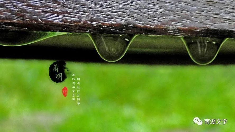 清明时节的新鲜艾草可以泡脚吗,清明时节吃艾草有什么好处