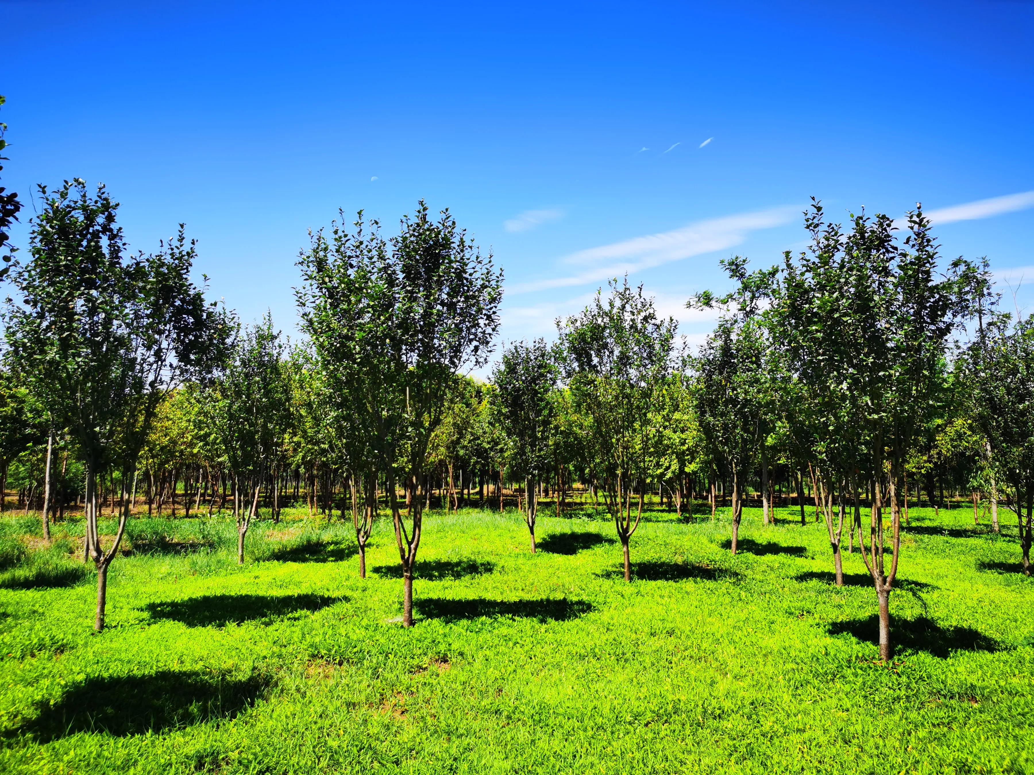 鎵嬫媿涓栫晫鎽勫奖浜ゆ祦骞冲彴,鎵嬫媿涓栫晫鎵嬫満鎽勫奖骞冲彴