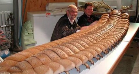 鸡为什么是蝎子的克星,鸡为什么是虫子的天敌呢