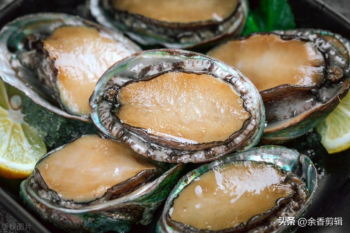 活鲍鱼死了该怎么处理,怎样处理鲍鱼才干净