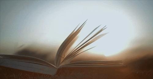 拼多多正版文学书籍,外文双语书拼多多