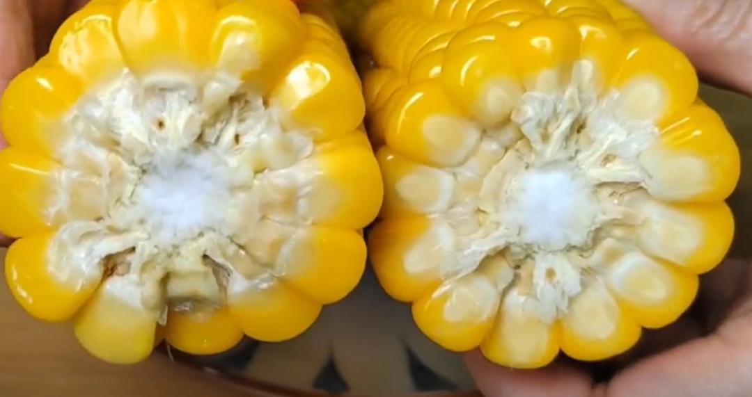 最掉秤的食物,减肥掉秤最快的食物是什么