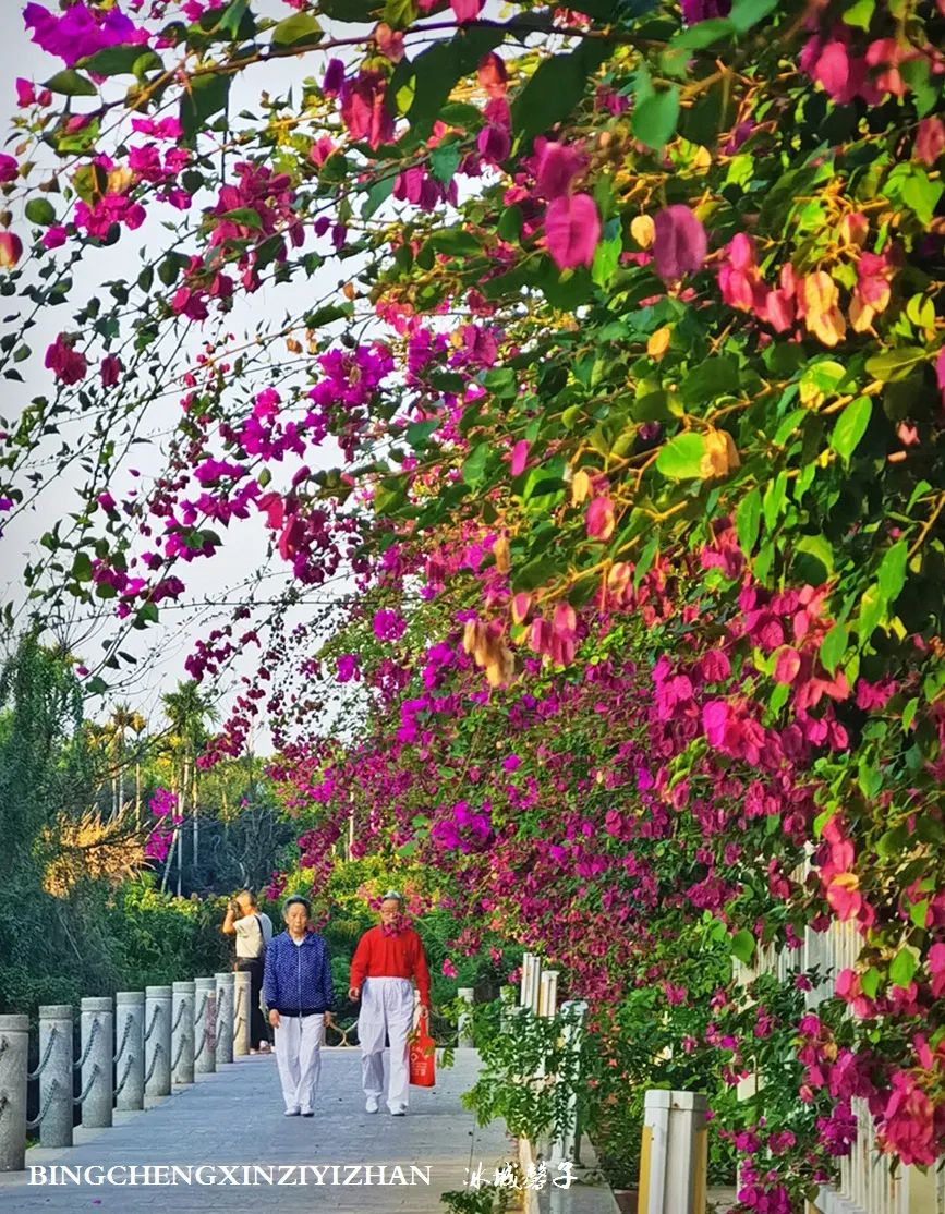 旅居海南,旅居式旅游生活海南