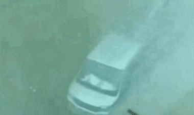 开心一刻｜有人接单吗？接一下我的孤单