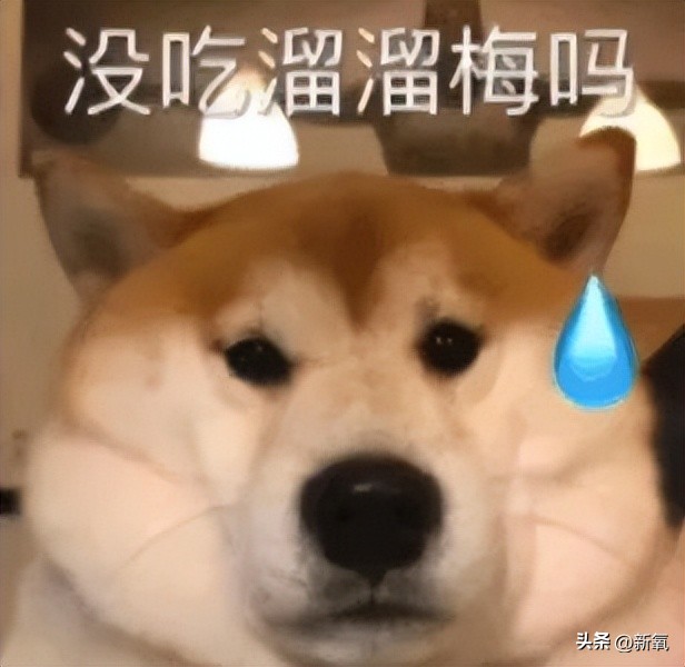 马凡舒首次接春晚邀请,央视春晚女主持人是马凡舒吗