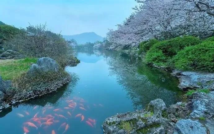 早春最好的十首诗,早春诗词十首