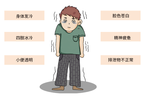 滋肝养肾吃哪一种六味地黄丸好,冬天如何养肾倪海厦六味地黄丸