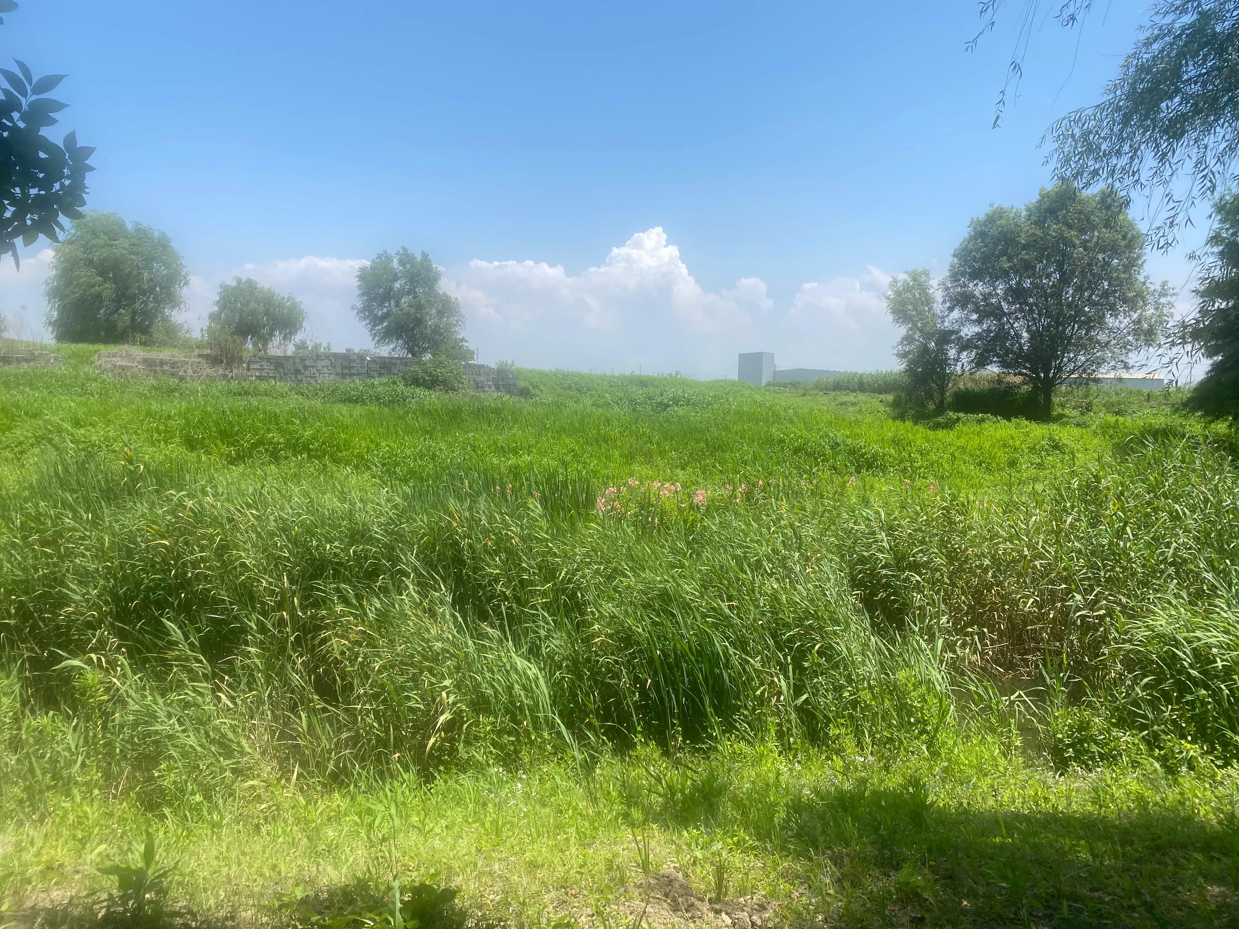 徒步318川藏线日记,徒步灵岩山日记