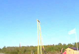 生活里也有乐趣,我们的生活有哪些乐趣呢