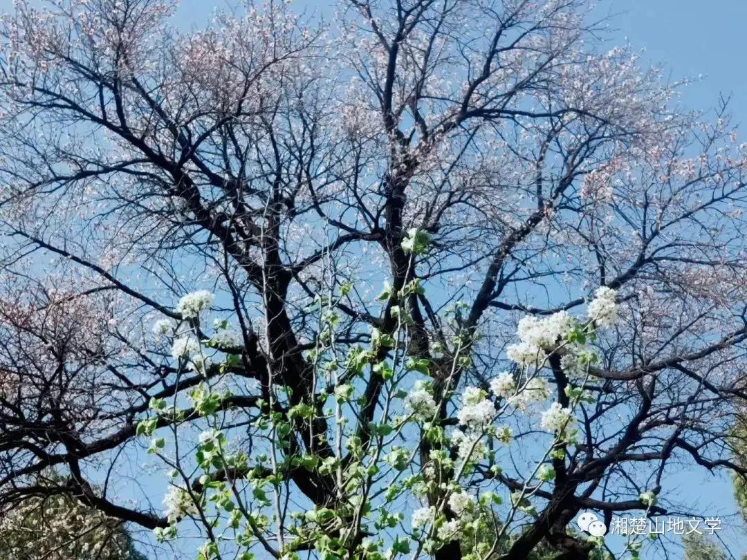 母亲是文盲沟通很困难,妈妈是文盲想认字