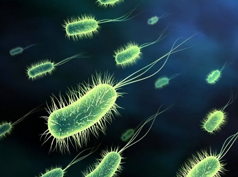 tau鎶椾綋,tau鎶椾綋涓村簥璇曢獙