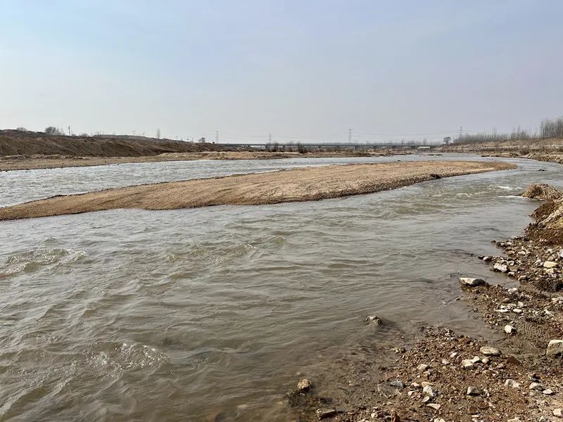 王志芳：春风又绿汶河畔