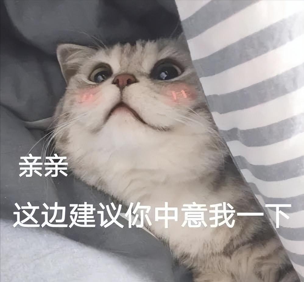 璁捐甯堝簲璇ョ煡閬撶殑鎵嬫満app璁捐缃戠珯,鎺ㄨ崘涓や釜鍏充簬璁捐鐨刟pp