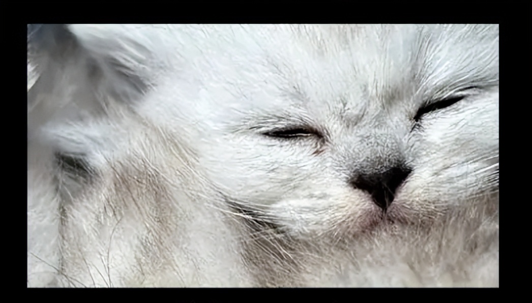 小米13ultra评测值得购买吗视频,小米13ultra对比苹果14哪个容易坏