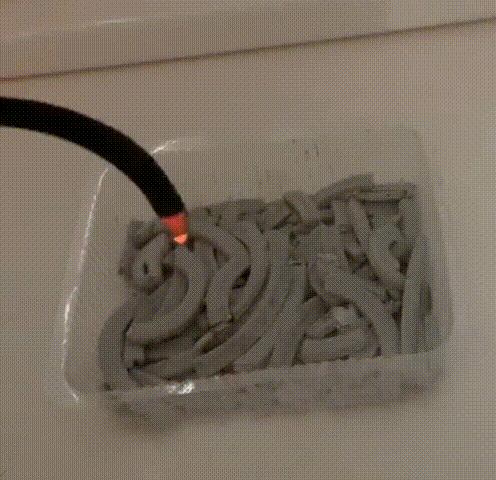 养猫有什么办法驱蚊子,养猫不可以用蚊香怎么驱蚊