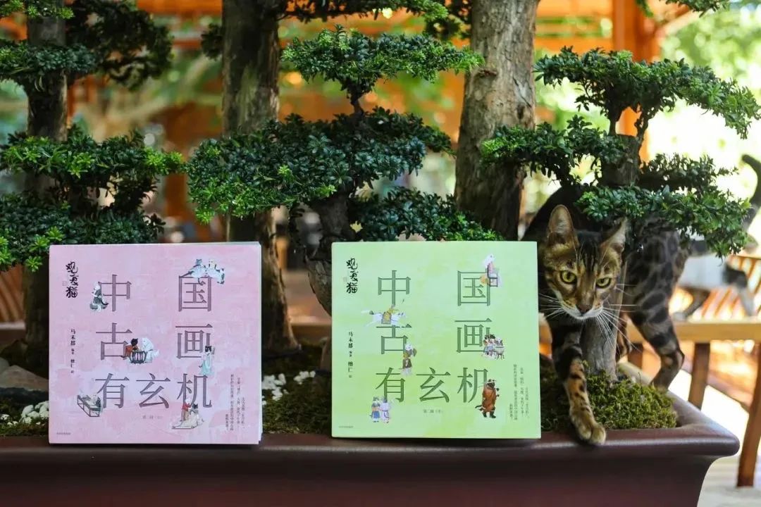 观复猫说过年抽奖,观复猫过年说