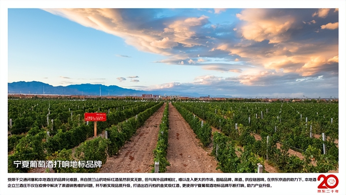 京东京造续写“山海情”新篇，618助力宁夏打造葡萄酒地标新名片
