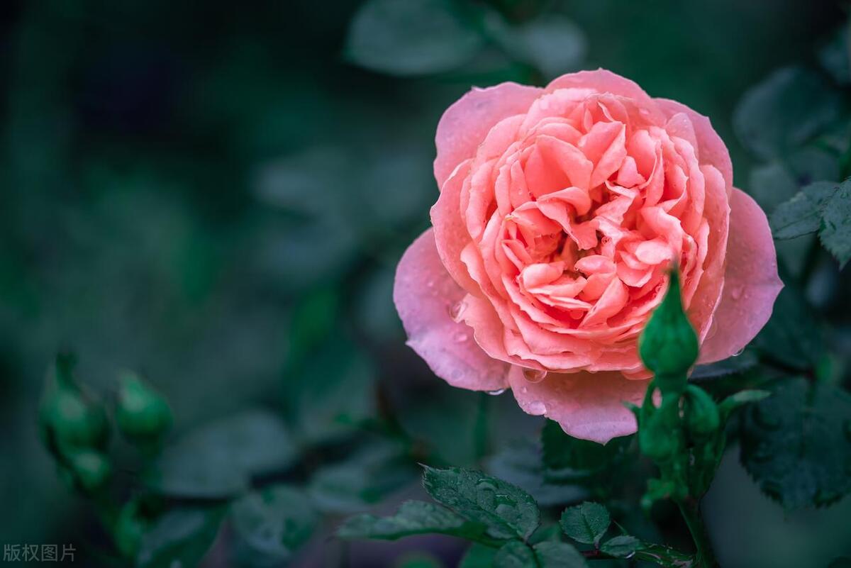 钱钱钱，到处是为钱的烦恼