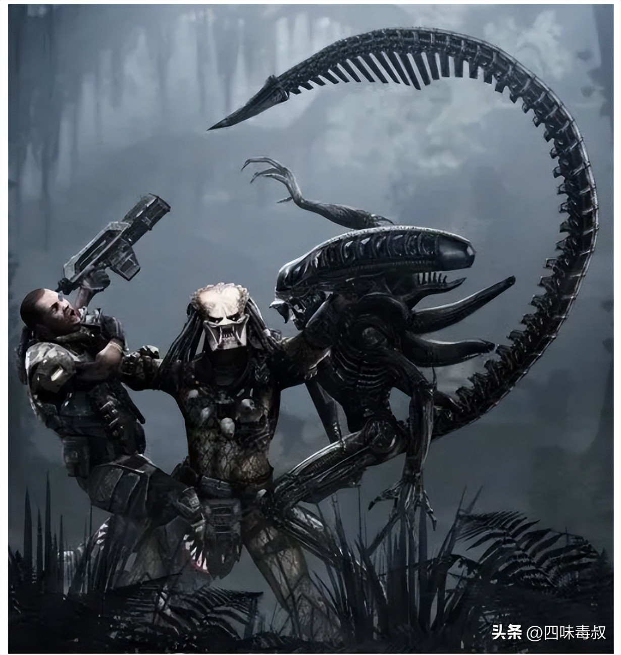 铁血战士系列解析,铁血战士系列6部曲一口气看完