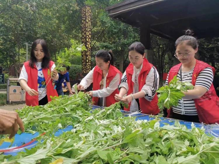 临渭区杜桥街道社工站联动各社工室开展“浓情端午，乐在其粽”主题活动