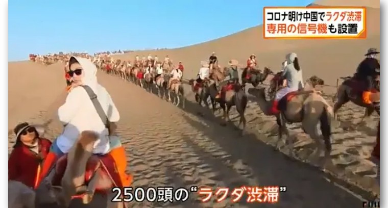 日本记者敦煌堵骆驼,日本记者直播连线冰墩墩
