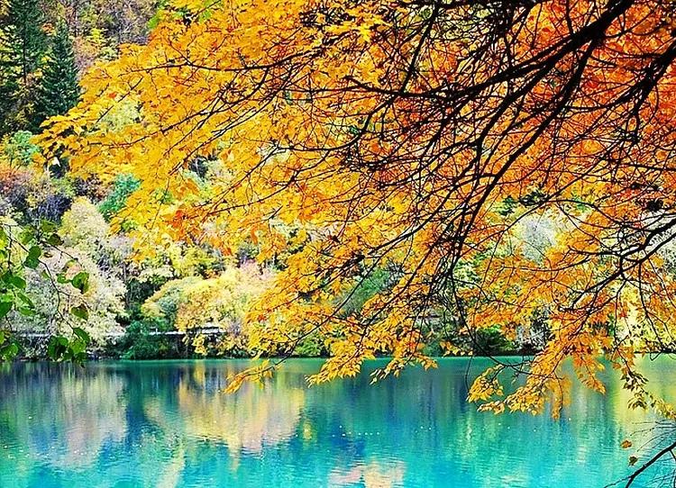 人间仙境九寨沟图片,人间仙境九寨风景图片