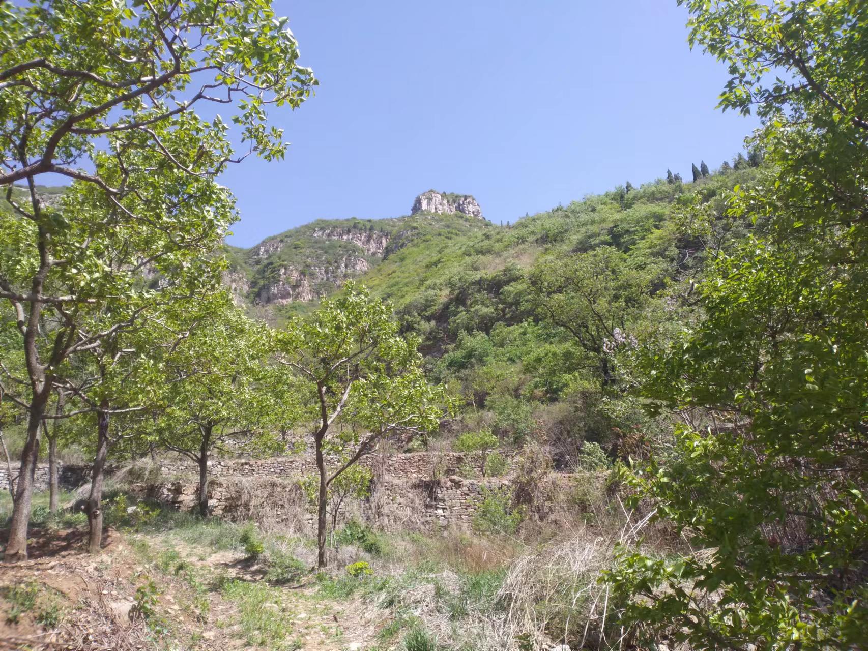 临朐自然美,临朐新美丽