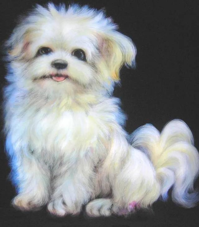 武汉市蔡甸区文艺大讲堂线上直播—盛焰镜画艺术人生