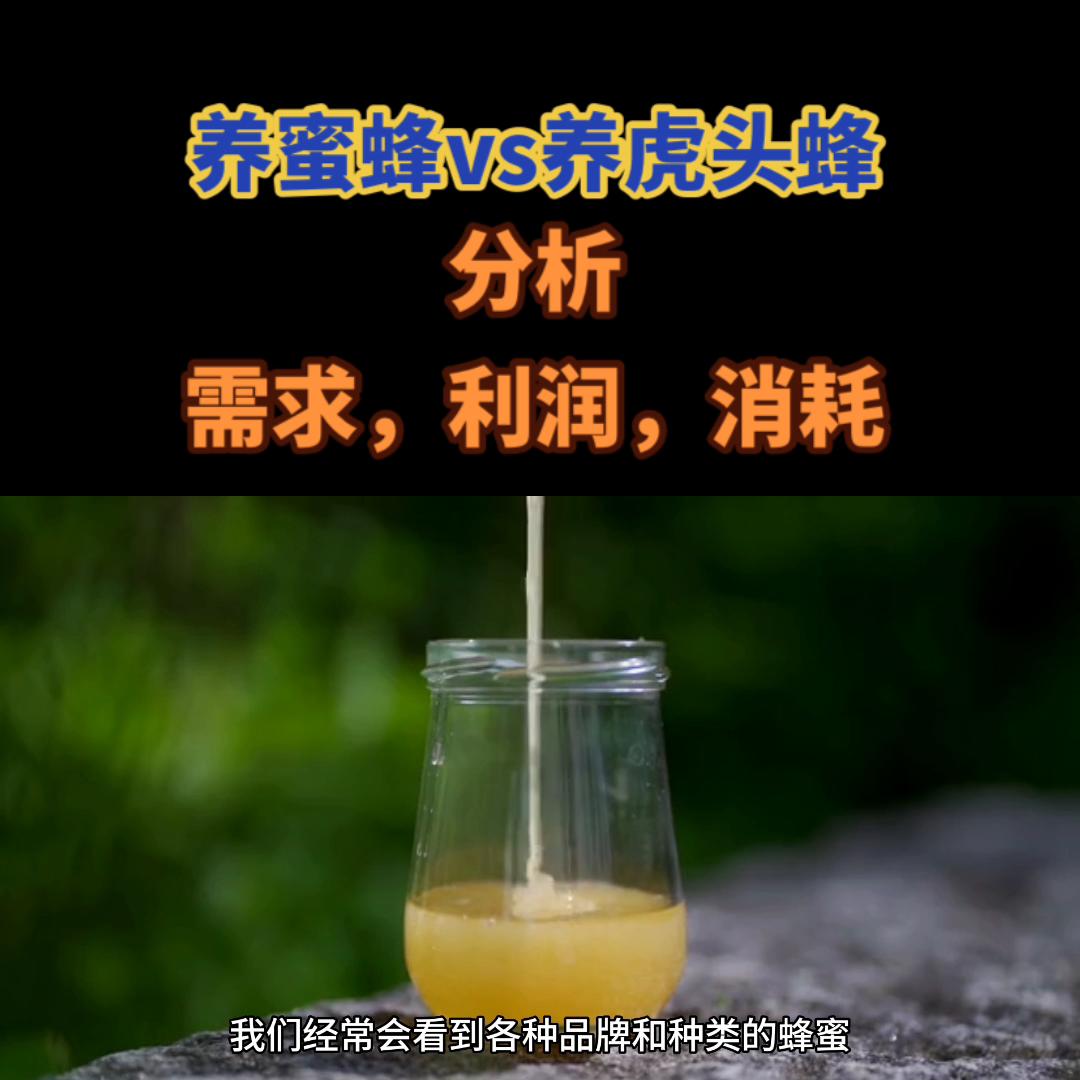 养蜜蜂虎头蜂太多了怎么办,养虎头蜂技术公开全书