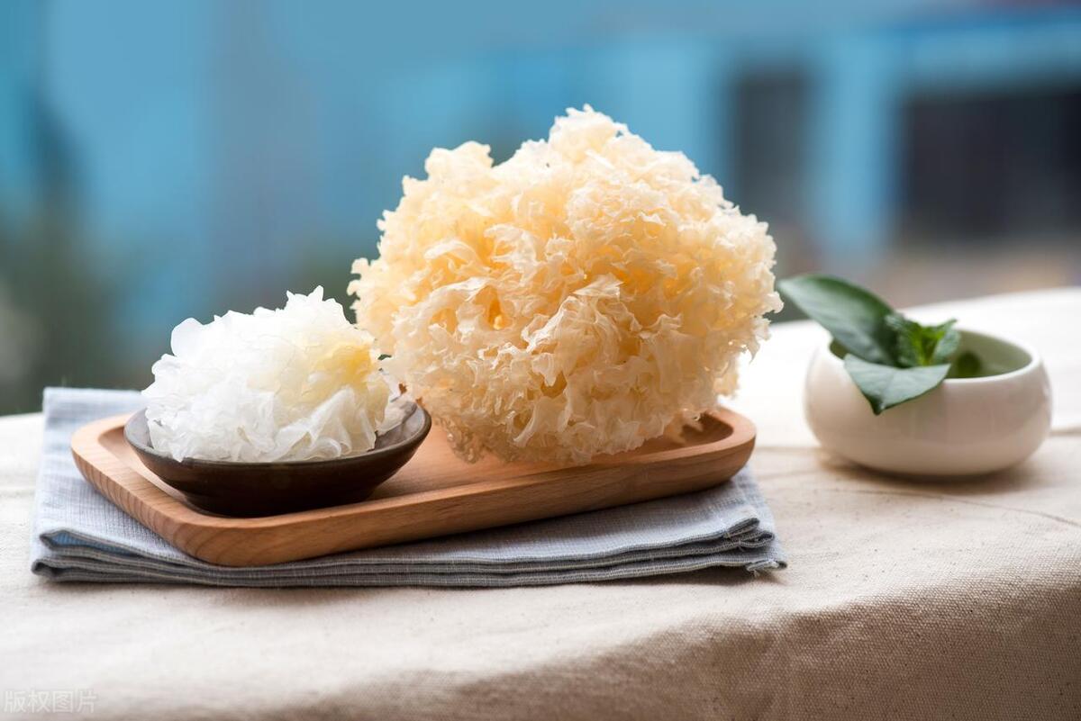 银耳养肺怎么做,银耳炖什么好吃又养胃又养肺