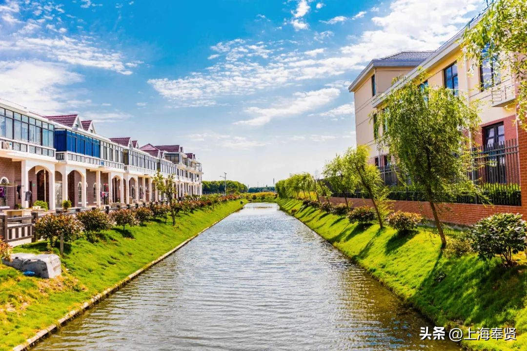 柘林绿色智慧小镇,2023年奉贤区柘林镇最新规划