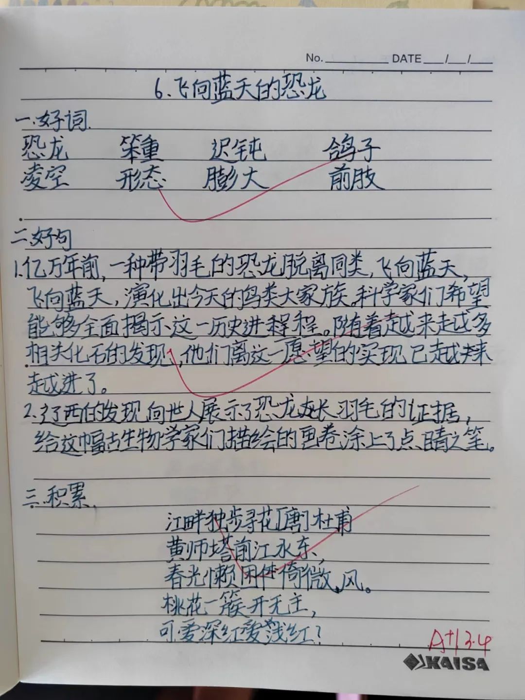 中小学教学常规管理督查通报,抓教学常规检查促学校规范管理
