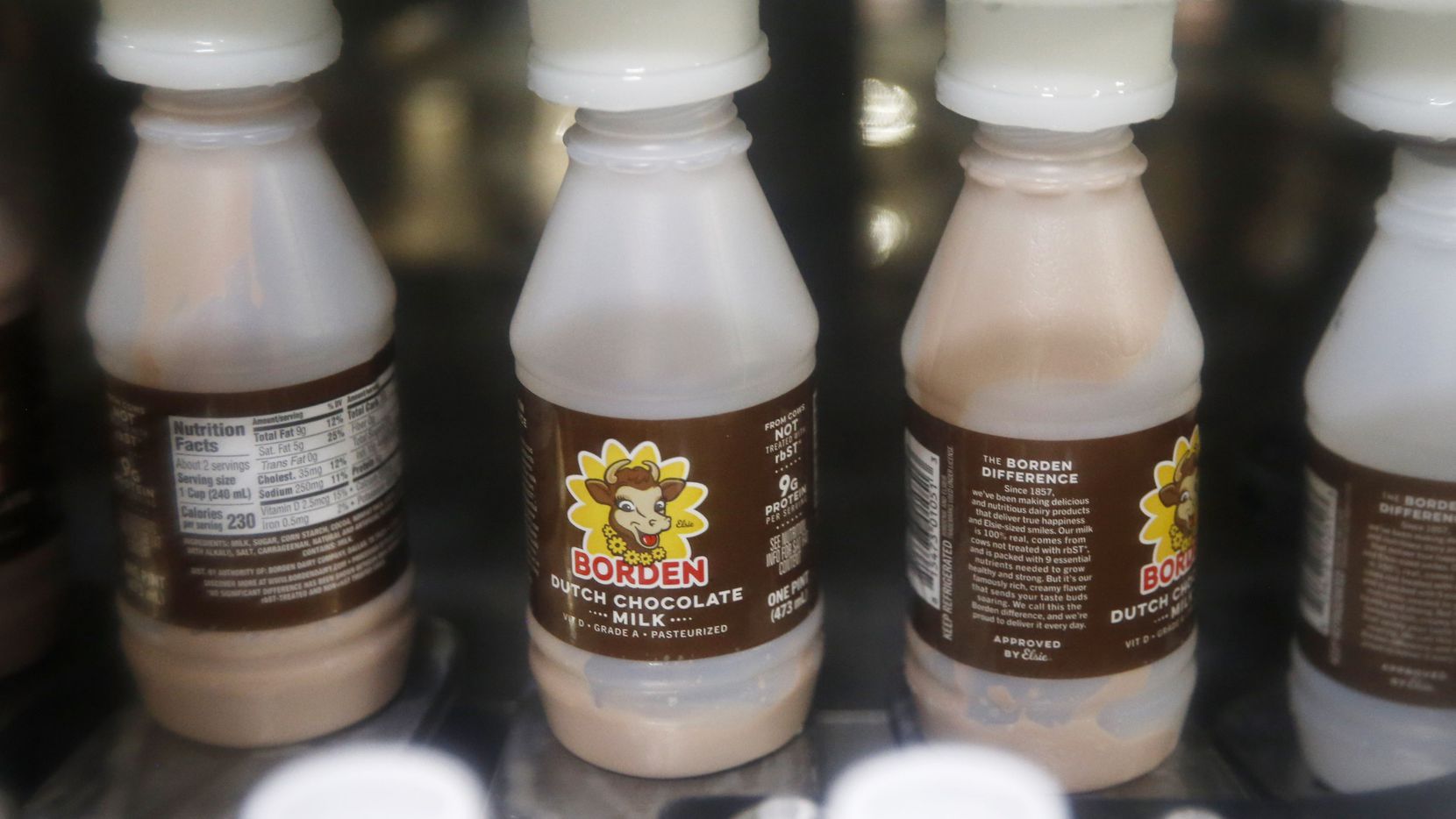 荷兰美食大全视频,荷兰美食介绍价格表