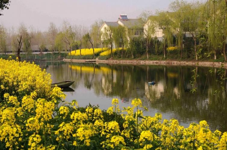 泰州姜堰出发自驾1日游好去处攻略推荐