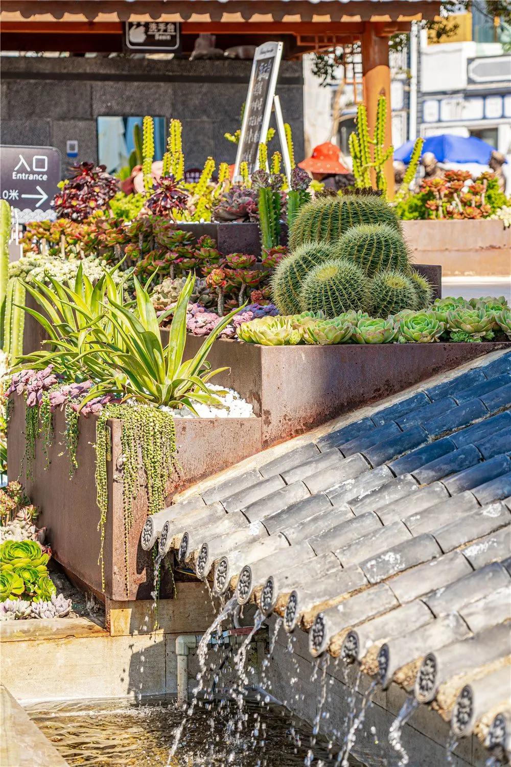 带你去双廊,住在浪漫的双廊洱海边看风景