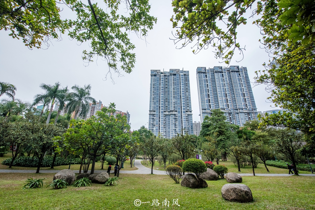 广州市gdp最高的区,广州市gdp在全国排第几