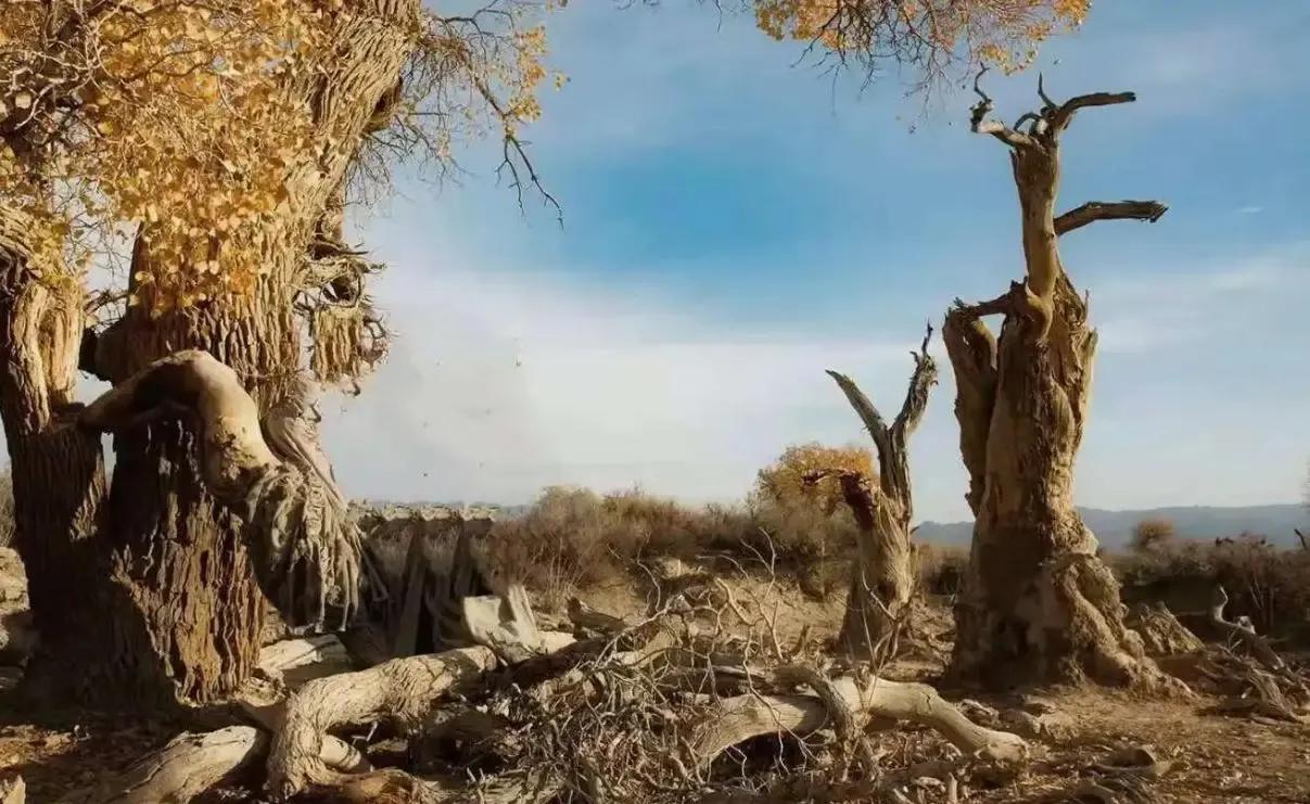 中国一万年前的死海,45亿年前的死海