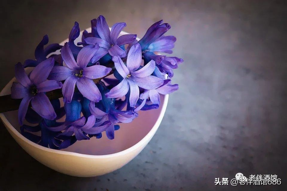 简单入门威士忌怎么调,秒懂威士忌基础知识