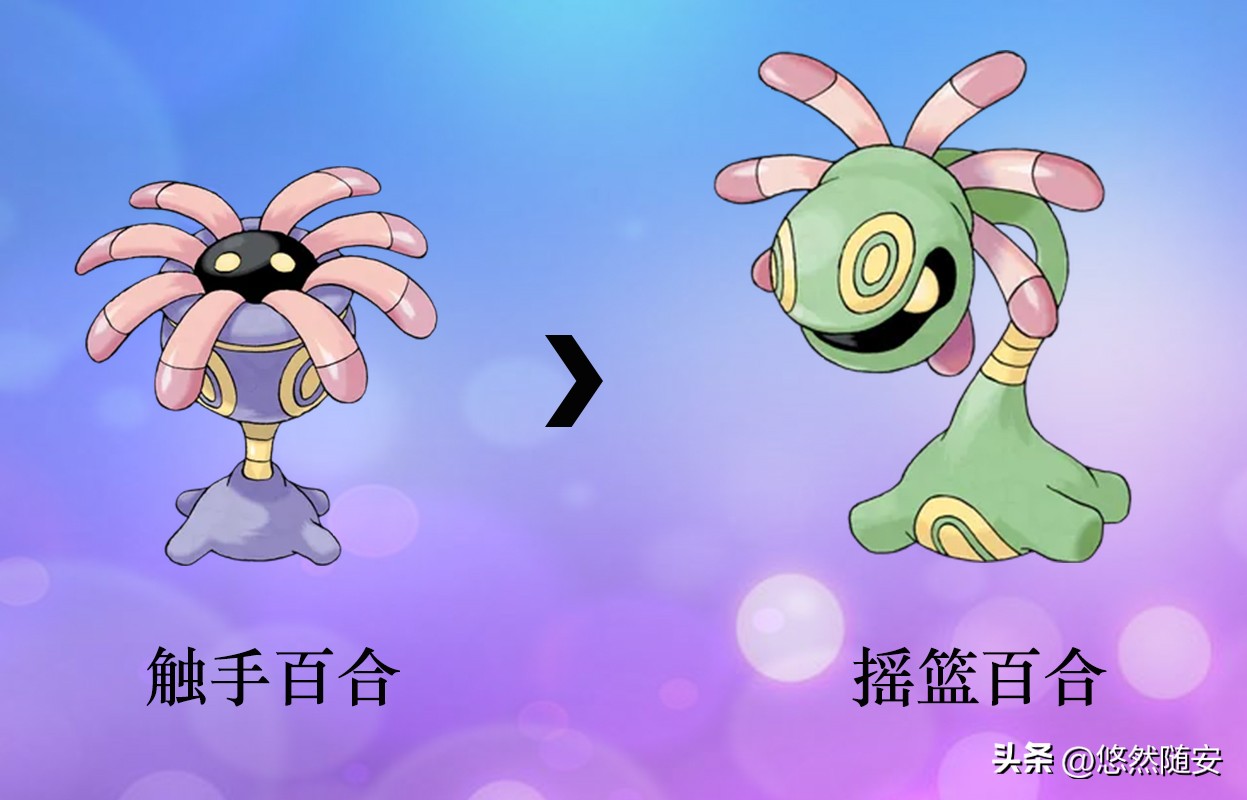 宝可梦进化形态,神奇宝可梦伊布进化形态