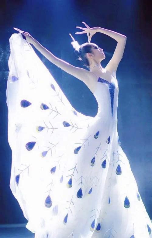 杨丽萍孔雀舞备受争议,杨丽萍舞蹈争议