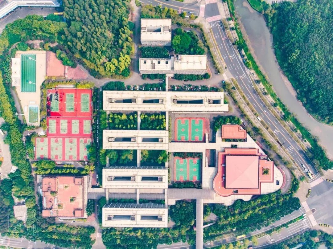 “广美，我恨你一辈子”