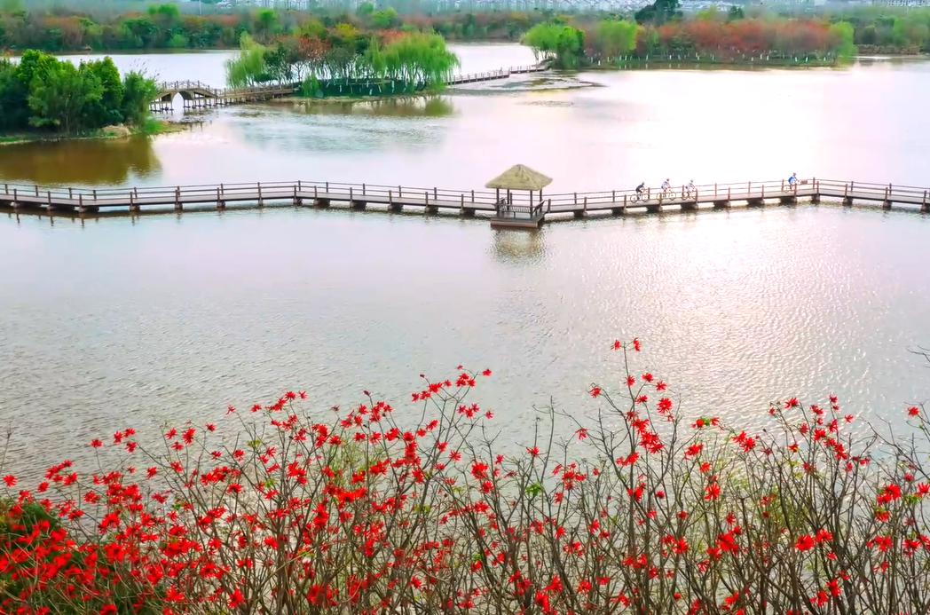 这里的“恩桃儿”红了