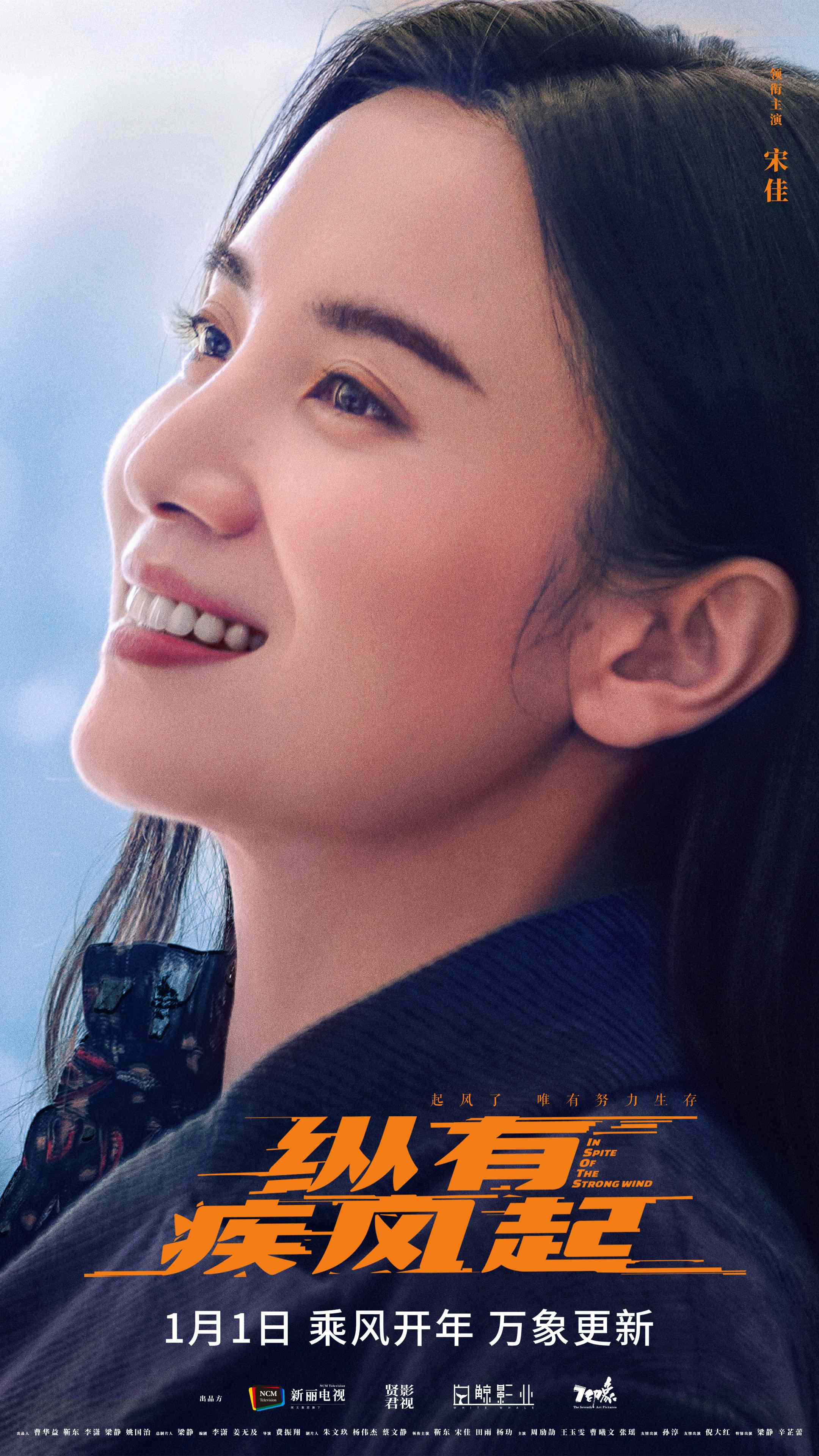 《纵有疾风起》开年即开播靳东宋佳热血人生不言弃