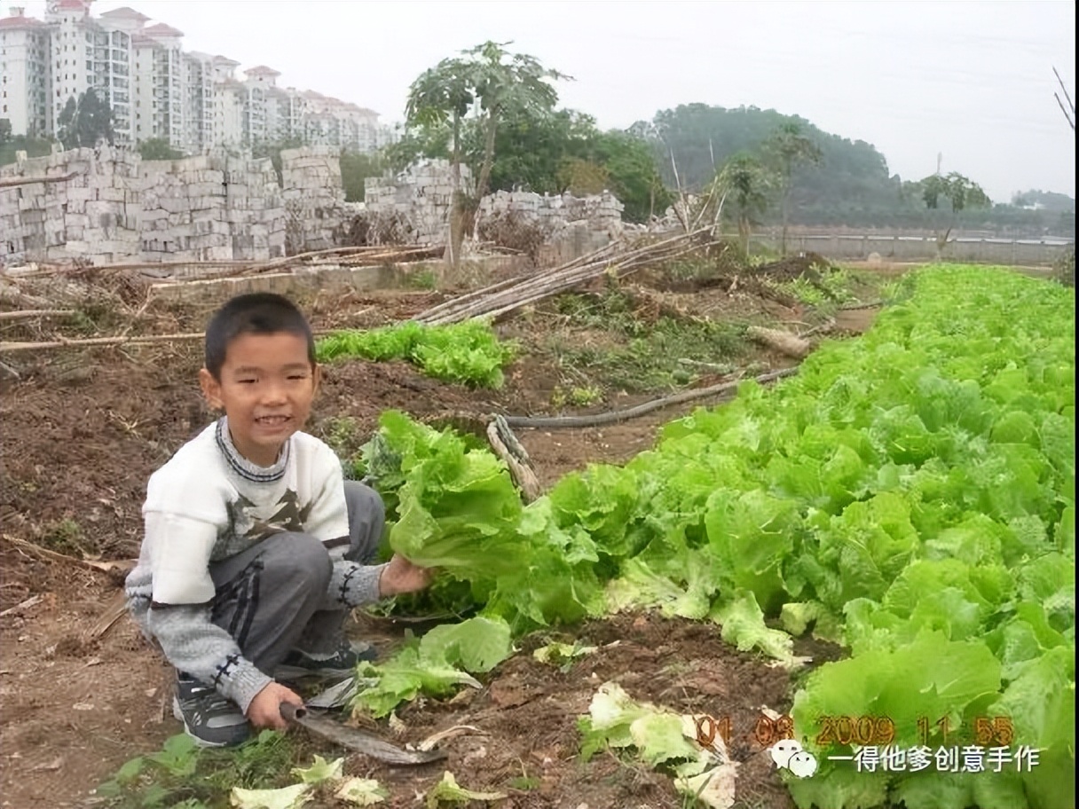 广州单亲爸爸花高价培养儿子，拒绝再婚，19岁儿子留学后却自杀了