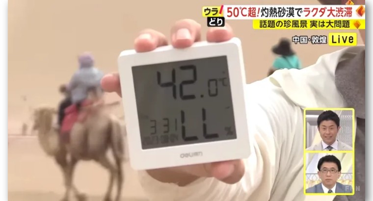 日本记者敦煌堵骆驼,日本记者直播连线冰墩墩