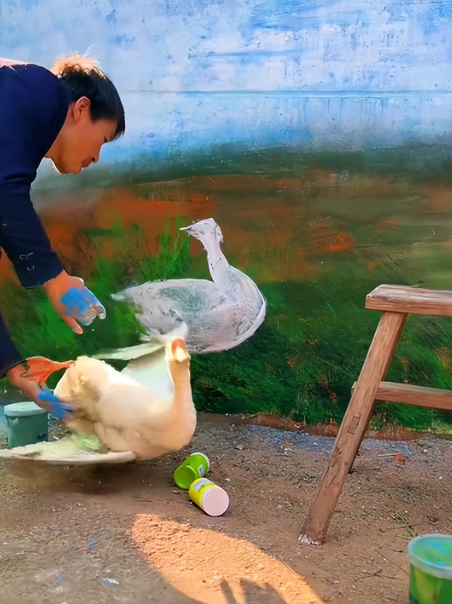 网红帅农鸟哥视频,黑马帅农鸟哥是如何走红的