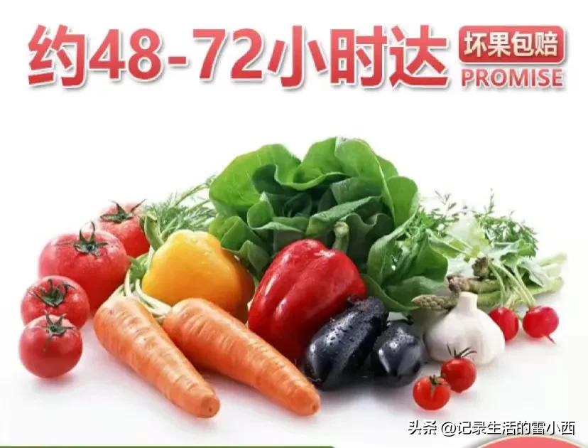 重庆网上蔬菜批发平台哪个好,最好的买菜网购平台