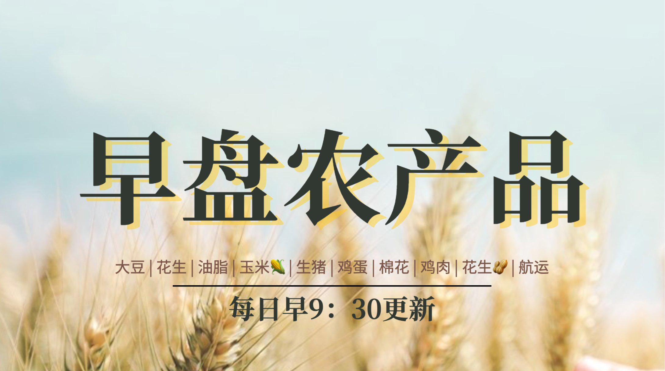 ice美棉,今日美棉花期货最新消息