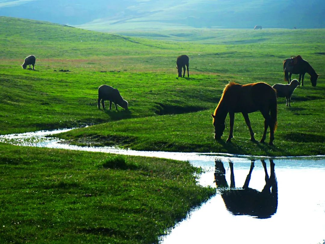 昆明七彩云南怎么样,七彩云南避暑家园