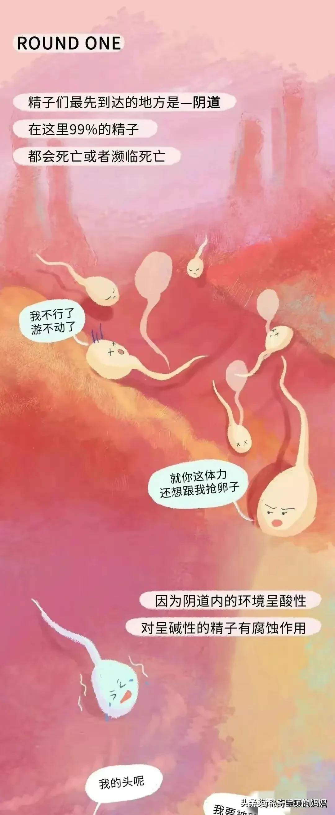 科普知识小蝌蚪怎么成长为青蛙,小蝌蚪动画的成长过程